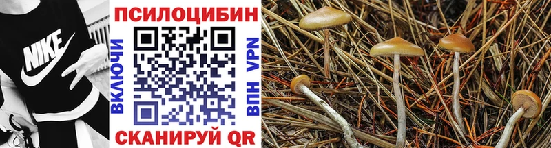 Псилоцибиновые грибы мухоморы Весьегонск
