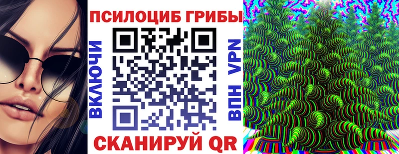 закладка  Весьегонск  Псилоцибиновые грибы мицелий 